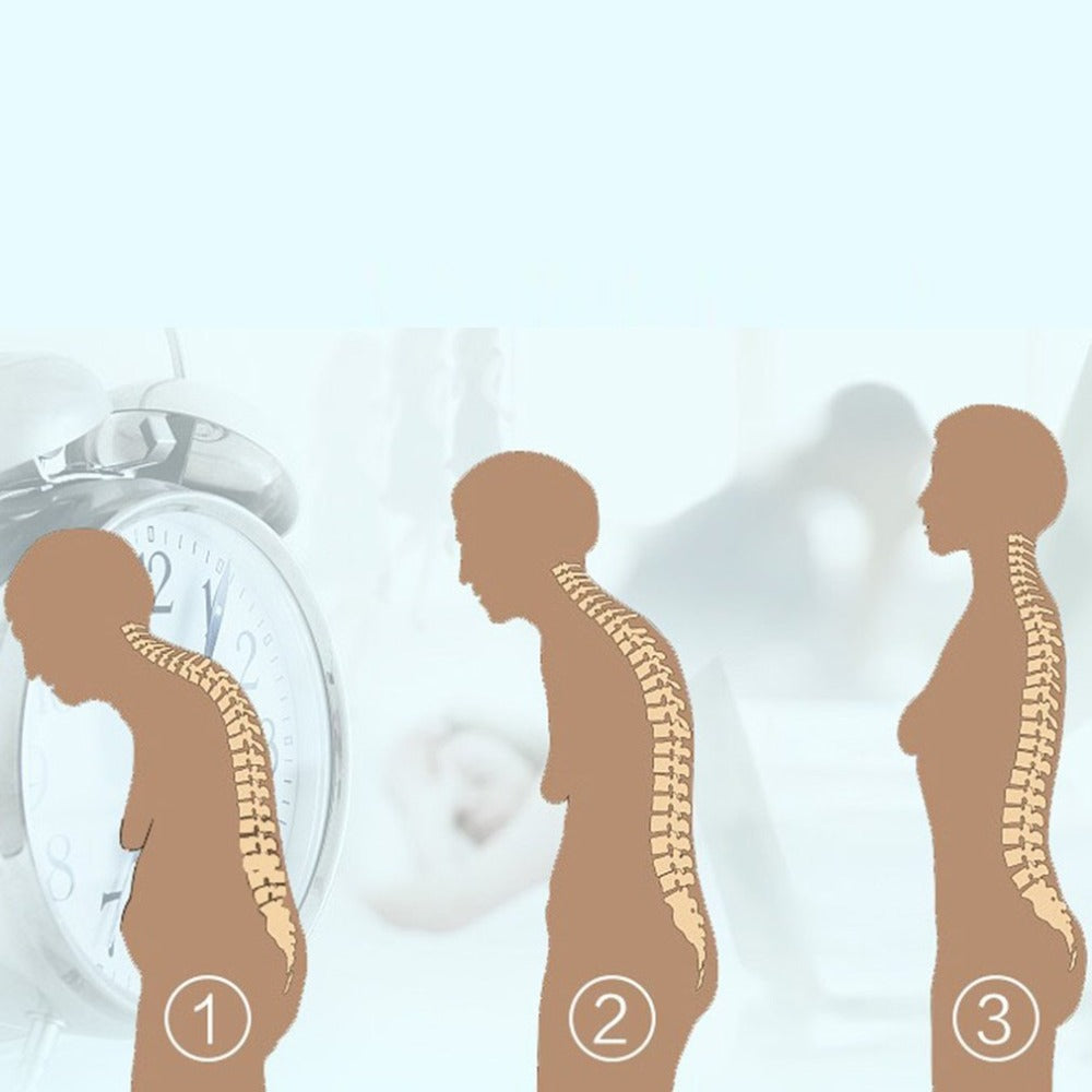 Spine & Posture Corrector