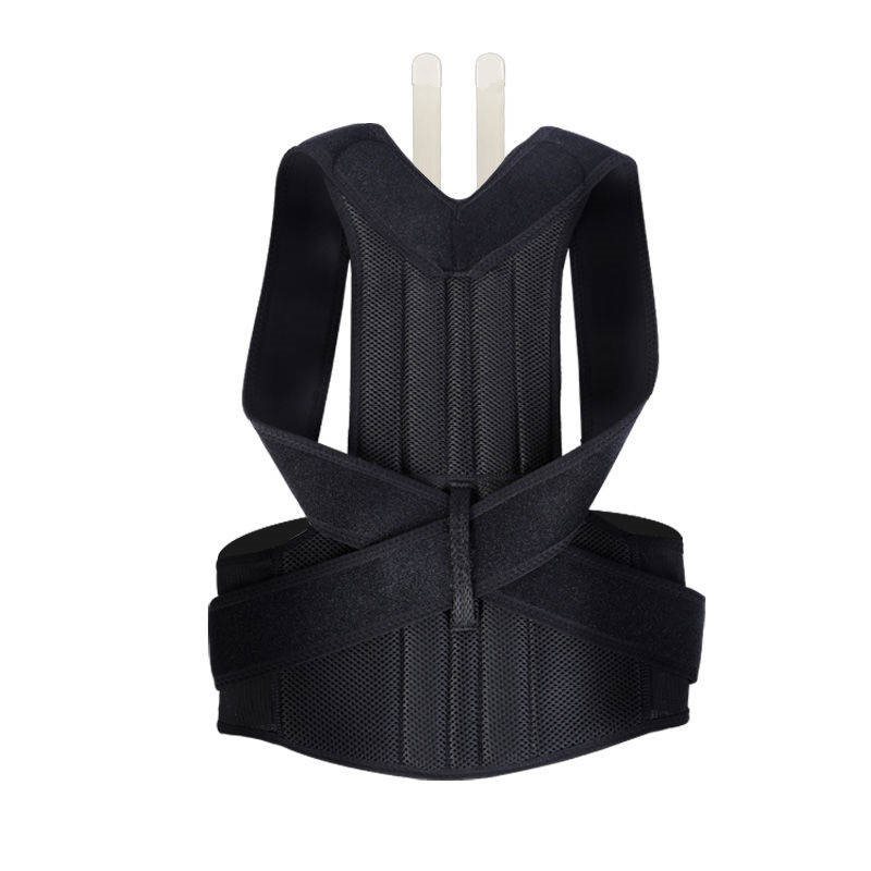 Spine & Posture Corrector